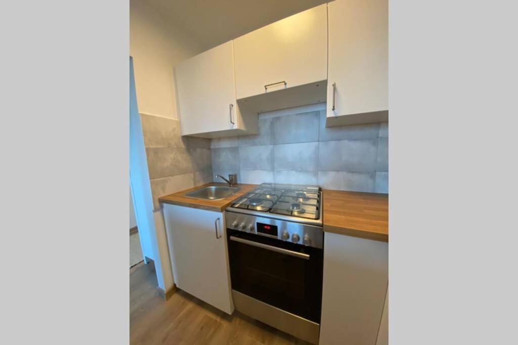 Modern Studio Apartment At Park&Stadium Near City Center Katowice Exterior foto