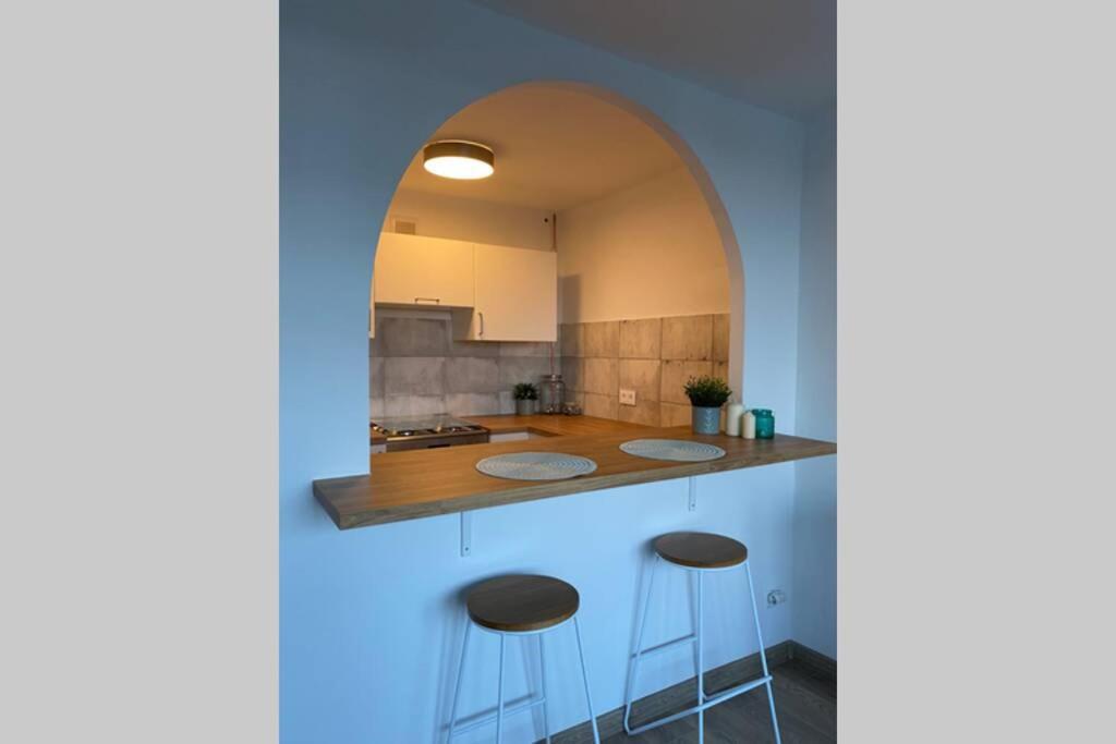 Modern Studio Apartment At Park&Stadium Near City Center Katowice Exterior foto